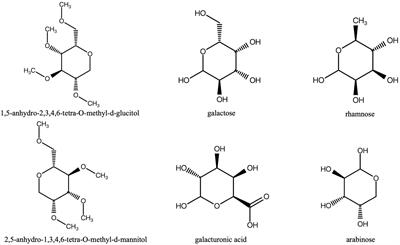 Neuroprotective effects of <mark class="highlighted">Morinda</mark> officinalis How.: Anti-inflammatory and antioxidant roles in Alzheimer’s disease